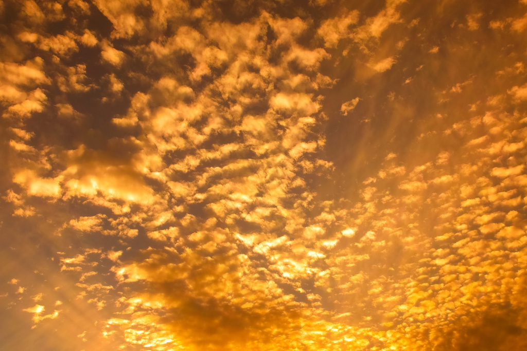 金色の雲が夕焼けに輝く写真（空 素材の背景フリー画像）