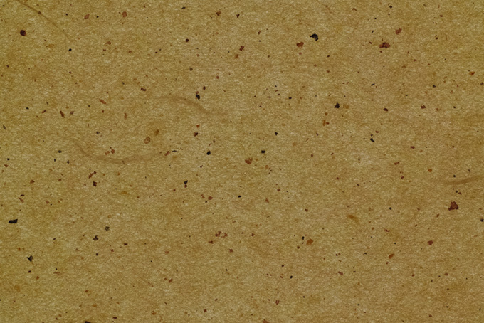 木蘭色の楮の皮と繊維のある和紙（和紙 テクスチャ フリーの画像）