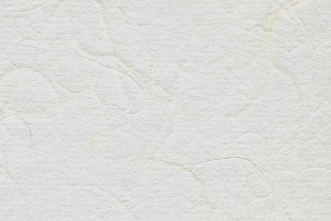 白色の凹凸のある雲竜和紙（白 和紙 テクスチャの背景フリー画像）