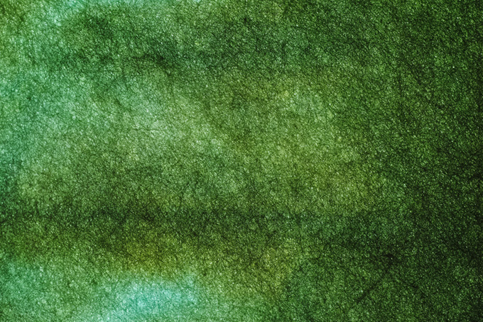 緑色のぼかしが入った色染め和紙（和紙 ぼかしの背景フリー画像）