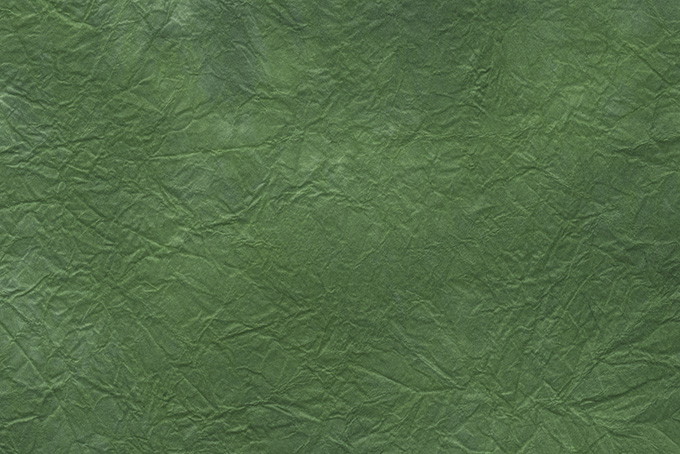 葉脈の似た模様の虫襖色揉染和紙（和紙 緑色の背景フリー画像）