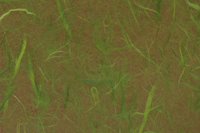 若竹の様な楮が入った雲竜和紙（和紙 繊維の背景フリー画像）