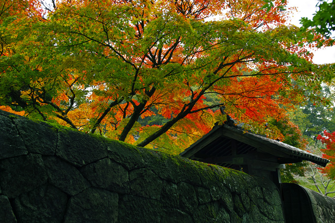 紅葉の和風景（秋の背景フリー画像）