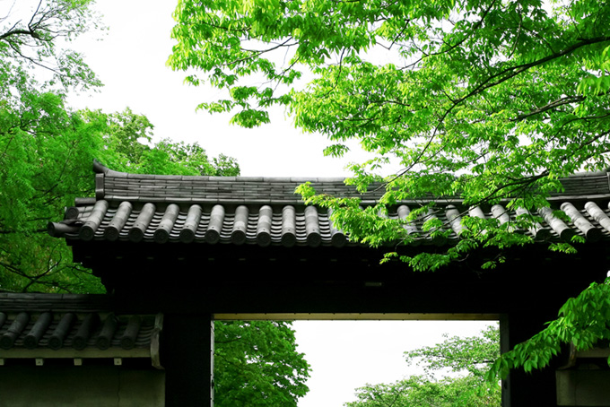 新緑の京都（背景 画像 日本の背景フリー画像）