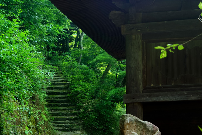 緑に囲まれた静寂の山寺（日本の背景フリー画像）
