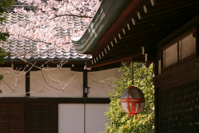 桜の季節の京都（日本の背景フリー画像）