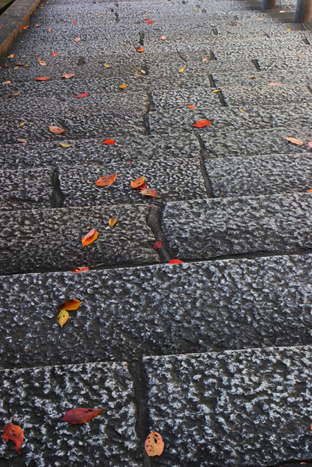落ち葉と古都の石階段