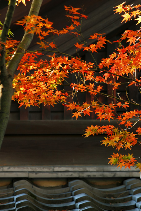 和風 季節（秋の背景フリー画像）