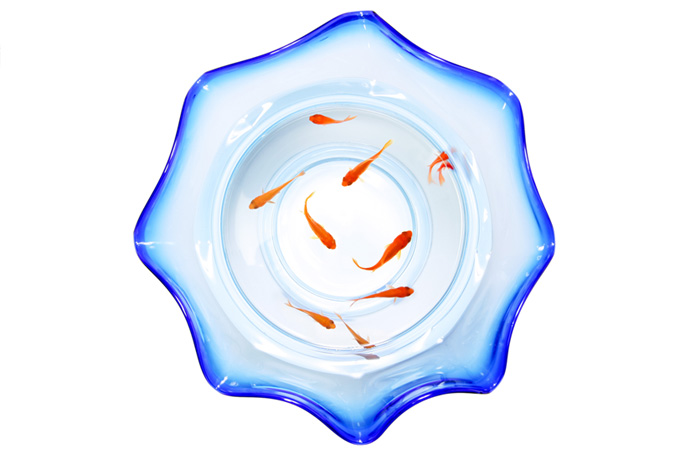 小さな赤い金魚と金魚鉢（背景 画像 夏の背景フリー画像）