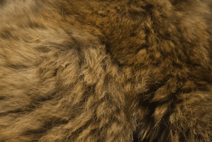 茶色い動物の毛皮（皮 素材の背景フリー画像）