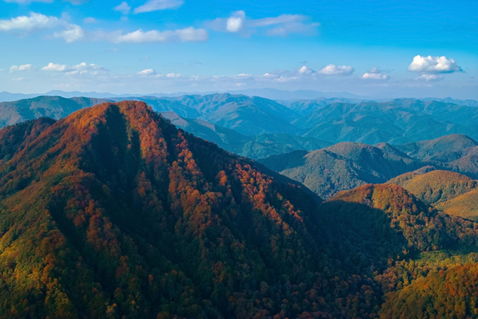 山頂が赤く染まり始める季節の風景（背景 山 画像の背景フリー画像）