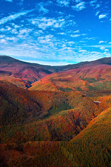 一面紅葉する東北の連山（風景 写真の背景フリー画像）