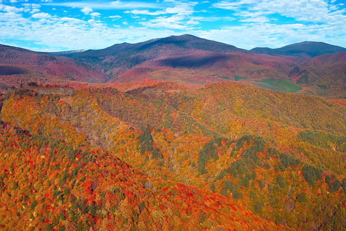 紅葉する山が連なる秋の風景（背景 山の背景フリー画像）