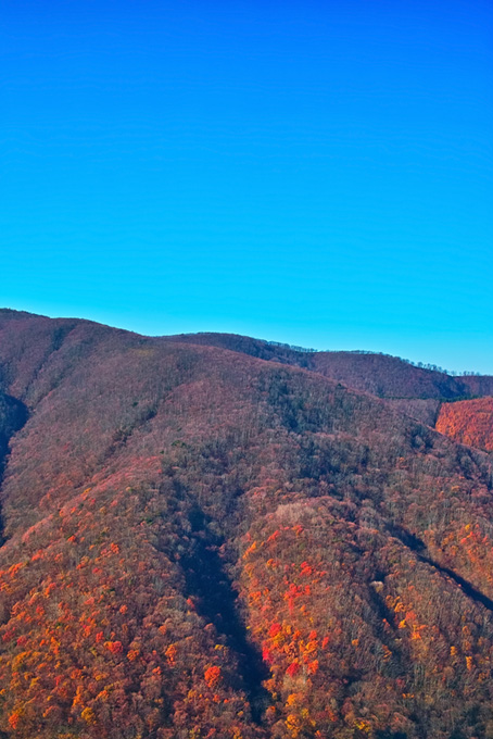 山・自然