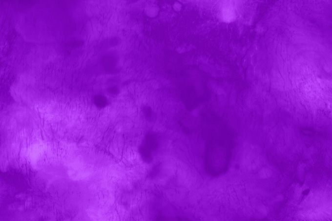 かっこいい紫色のおしゃれな画像（紫色 おしゃれの背景フリー画像）