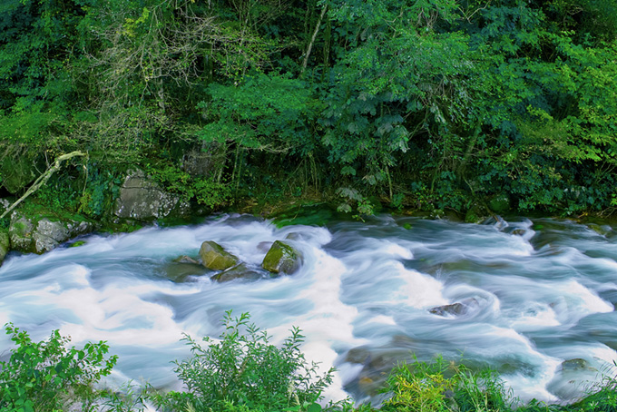 美しい緑の木々の中を流れる清流の画像（川の背景フリー画像）