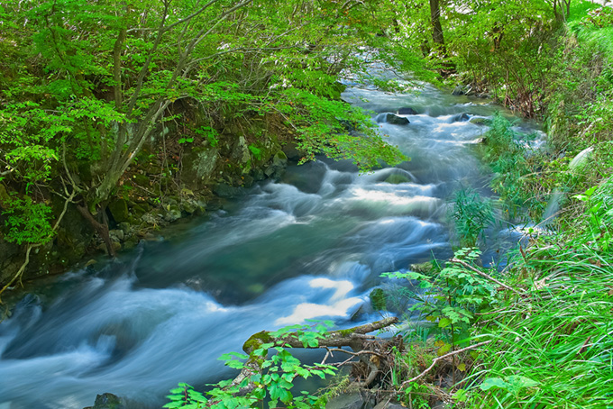 ひっそりと流れる水の澄んだ小川の素材（背景 画像 川の背景フリー画像）