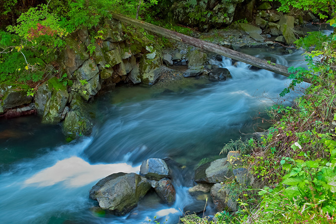 丸太の橋が架かった緑の美しい渓流の画像（川の背景フリー画像）