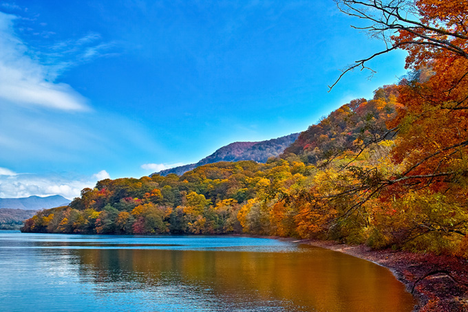美しく紅葉する湖岸（背景 清流 画像の背景フリー画像）