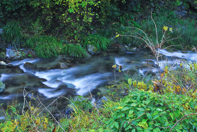 綺麗な水が流れる小川の画像（川の背景フリー画像）
