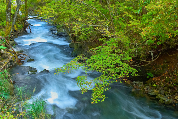 流速が激しい上流の川の風景（背景 川の背景フリー画像）