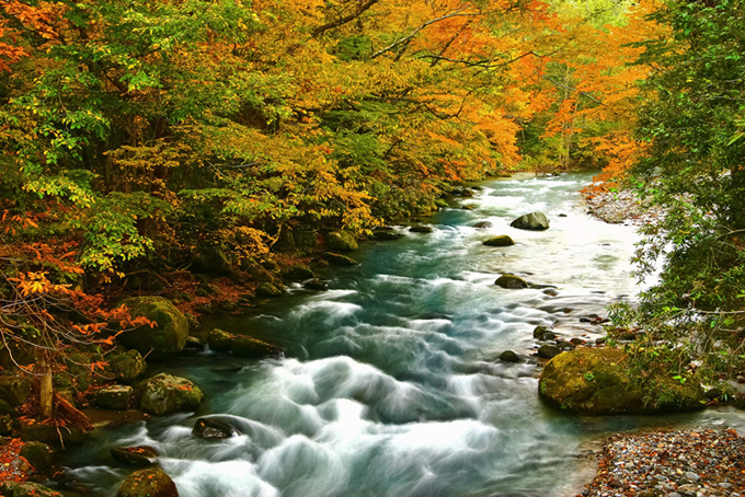 紅葉と渓流の画像素材（背景 画像 川の背景フリー画像）