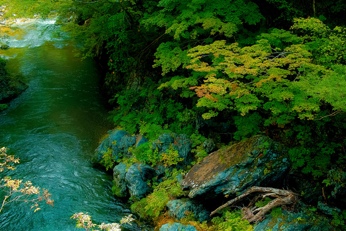 緑の木々がある谷の清流の画像（背景 画像 川の背景フリー画像）