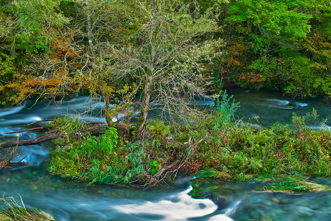 色鮮やかな木々に囲まれた清流の画像（川の背景フリー画像）