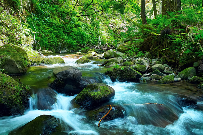 新緑の季節の渓流（背景 清流 画像の背景フリー画像）