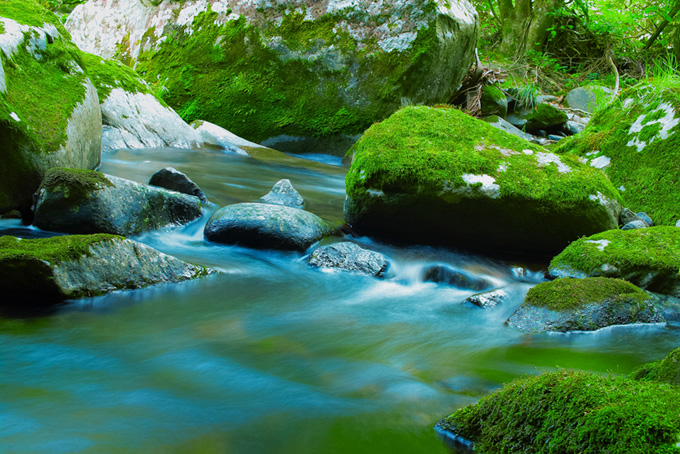 緑の苔が映える美しい渓流（清流の背景フリー画像）