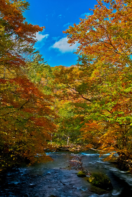 秋色の木々と流れる川(秋 フリーの画像)