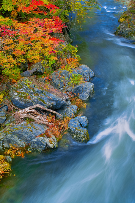 川と木（背景 画像 渓流の背景フリー画像）