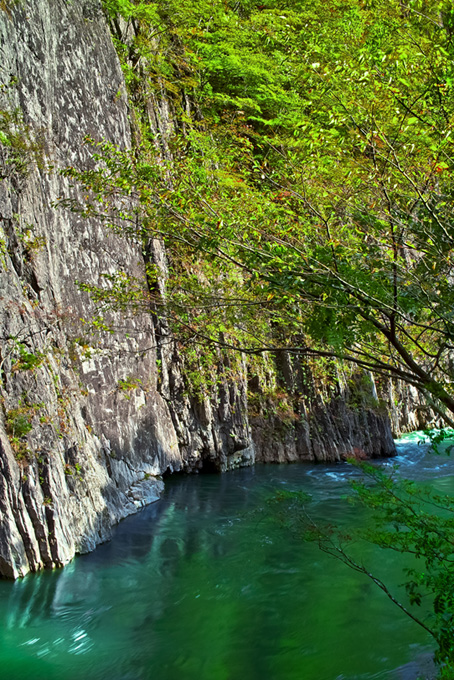 川と木（背景 渓流 画像の背景フリー画像）