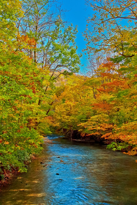 秋の色彩が映り込む渓流(秋 フリーの画像)