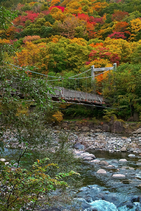 紅葉する渓谷に架かる吊り橋（秋の背景フリー画像）