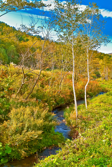 秋の野山に流れる小川（秋の背景フリー画像）