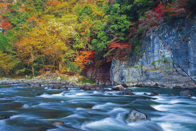 「川 素材」綺麗な水の流れる川の写真、山奥の美しい渓流の背景、新緑の木々と清流の画像など、高画質＆高解像度の画像・写真素材を無料でダウンロード