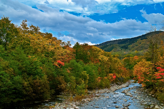 川と自然（紅葉 風景の背景フリー画像）