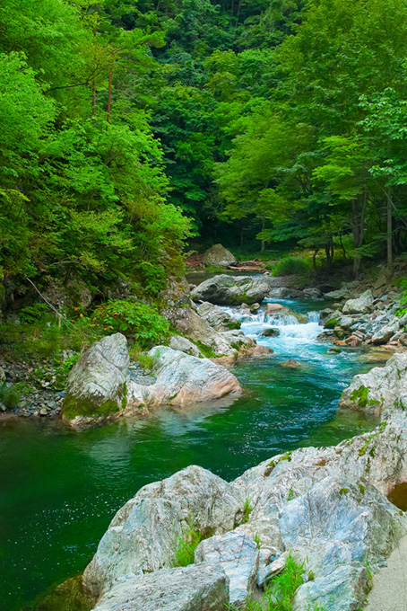 川の風景