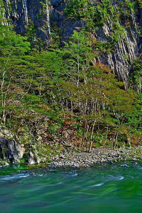 川の風景