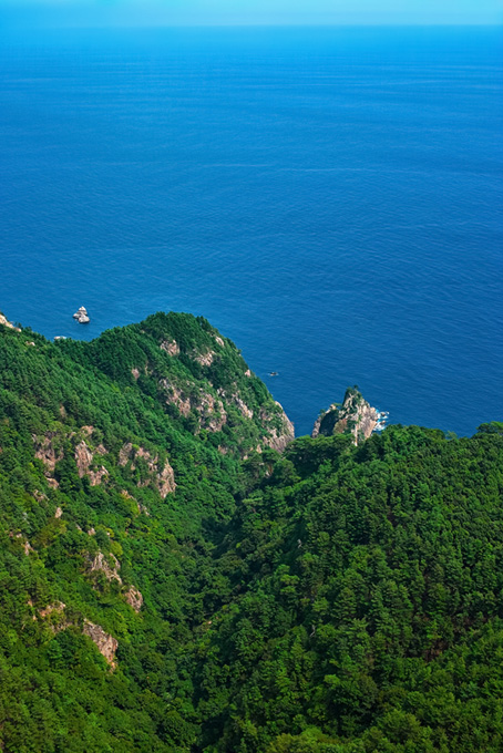緑の岬と穏やかな海（海 素材の背景フリー画像）