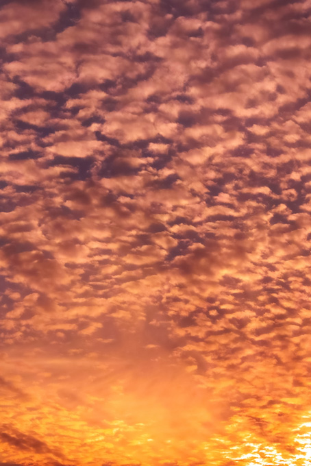 夕焼けに照らされる羊雲（夕景 綺麗の背景フリー画像）