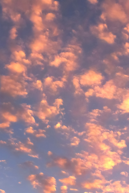 ピンクの雲が夕焼けに煌めく（空 壁紙の背景フリー画像）