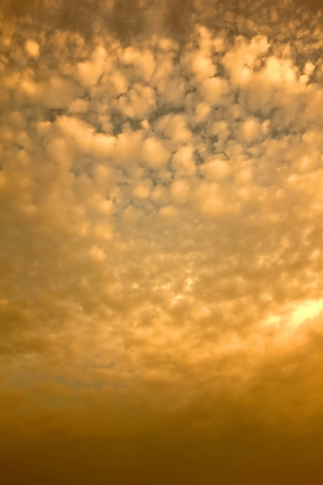 金色に染まる羊雲の夕焼け（夕景 おしゃれの背景フリー画像）