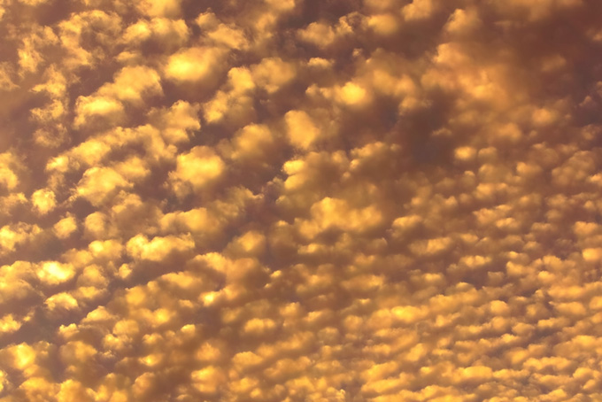 夕焼けに光る金色のうろこ雲（背景 画像 夕焼けの背景フリー画像）