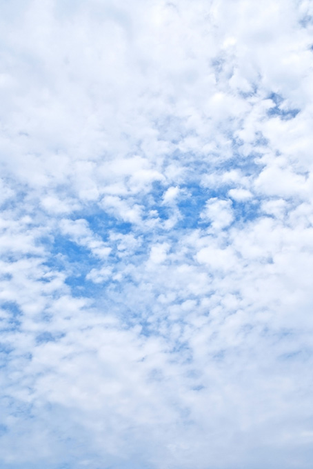 青空一杯に広がるモコモコとした雲（空 素材の背景フリー画像）