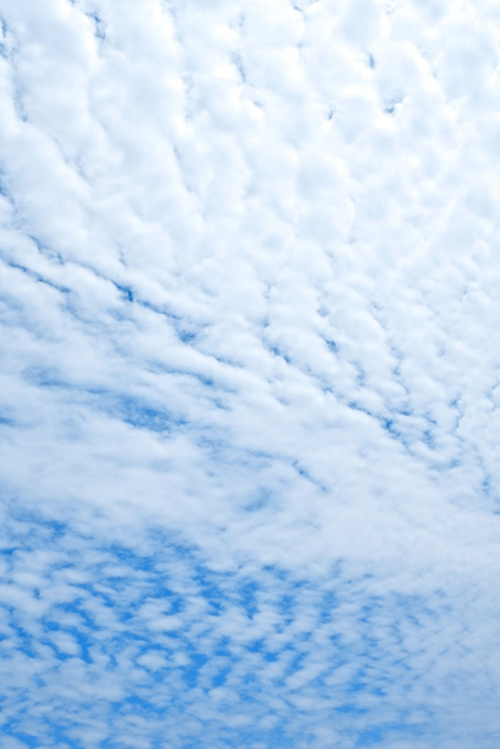 白い羊雲が幾つも浮かぶ青空（空 写真の背景フリー画像）