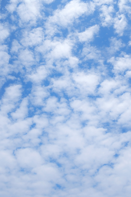 無数の綿のような雲が青空に登る（空 素材の背景フリー画像）