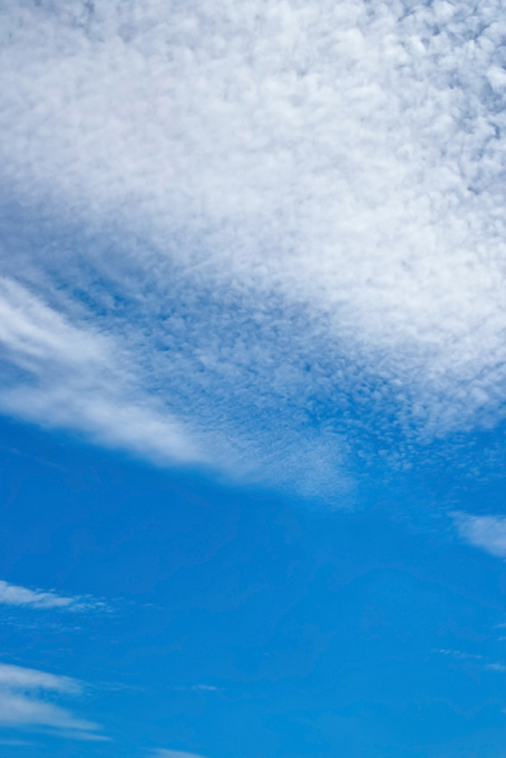 青空の天辺に雪のような雲が積もる（空 壁紙の背景フリー画像）