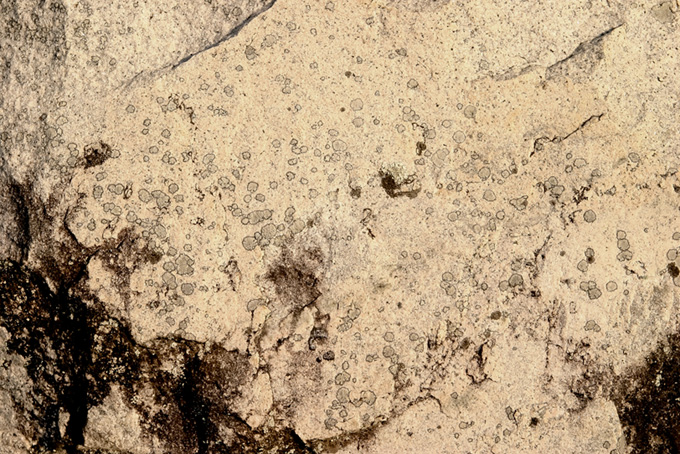 シミの様な模様の入った岩肌の背景（石 素材の背景フリー画像）